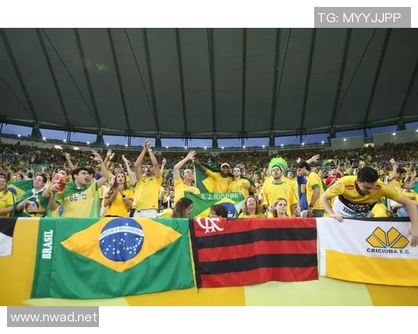 上海羽毛球队在联合会杯积分榜中以88分稳居第一名表现出色