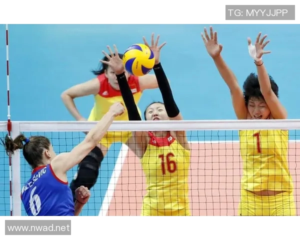 与排球传奇杨军的对话回顾他的辉煌职业生涯与心路历程