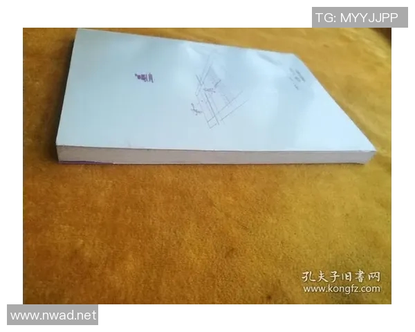 北京网球队配合风格深度剖析与战术对比研究 北京网球队配合风格深度剖析与战术对比研究