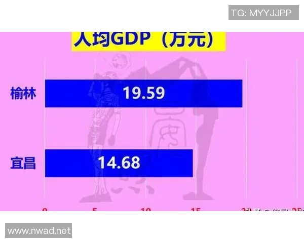 南京网球队在锦标赛积分榜上以82分稳居第一名展现强劲实力 南京网球队在锦标赛积分榜上以82分稳居第一名展现强劲实力