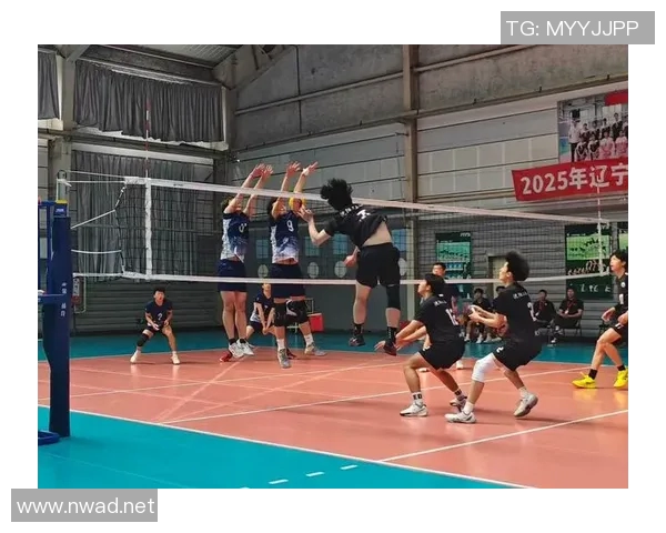 成都排球队在全国排球意识排行榜中荣获第六名展现卓越团队精神与竞技水平 成都排球队在全国排球意识排行榜中荣获第六名展现卓越团队精神与竞技水平