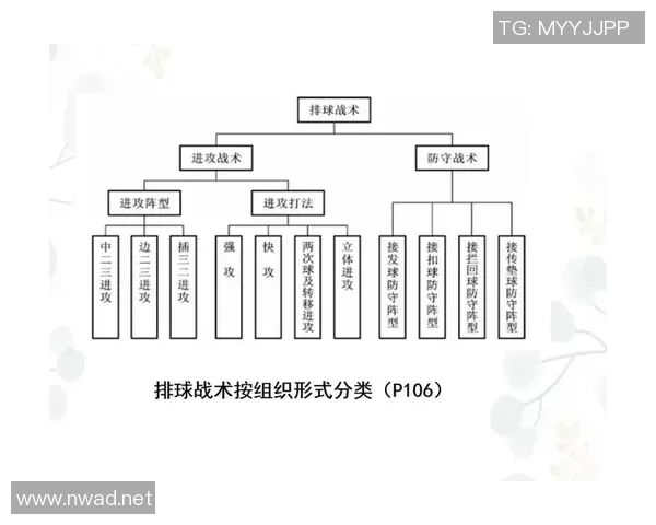 成都排球队防反战术解析与深度剖析助力排球竞技水平提升 成都排球队防反战术解析与深度剖析助力排球竞技水平提升