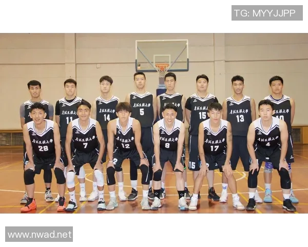 杭州篮球队状态分析：新赛季挑战与机遇并存的全景观察