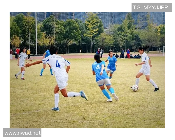 杭州足球队在挑战赛中的灵活性表现分析与点评