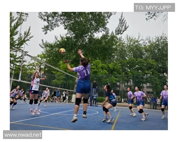 深入分析北京排球队的节奏打法与战术特点及其对比赛的影响