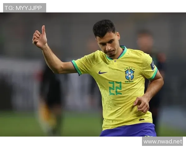 秘鲁足球明星介绍及其在国际赛场上的辉煌成就分析