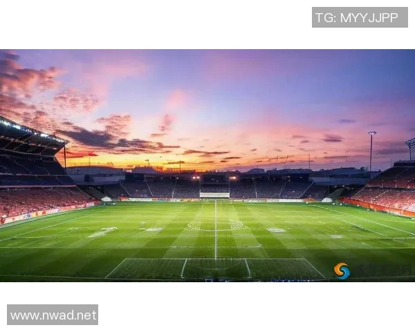 足球明星激情瞬间集锦尽显球场风采与荣耀时刻 足球明星激情瞬间集锦尽显球场风采与荣耀时刻