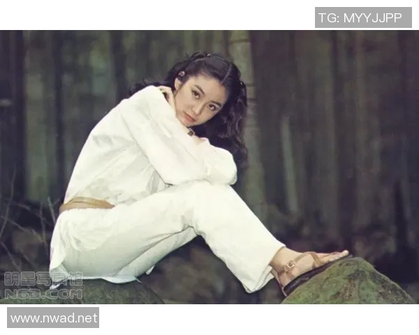 足球明星林青霞的传奇人生与精彩瞬间全景介绍 足球明星林青霞的传奇人生与精彩瞬间全景介绍