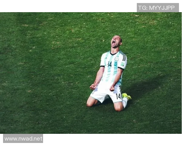 退役足球明星背影图片展现他们辉煌岁月的沉思与回忆