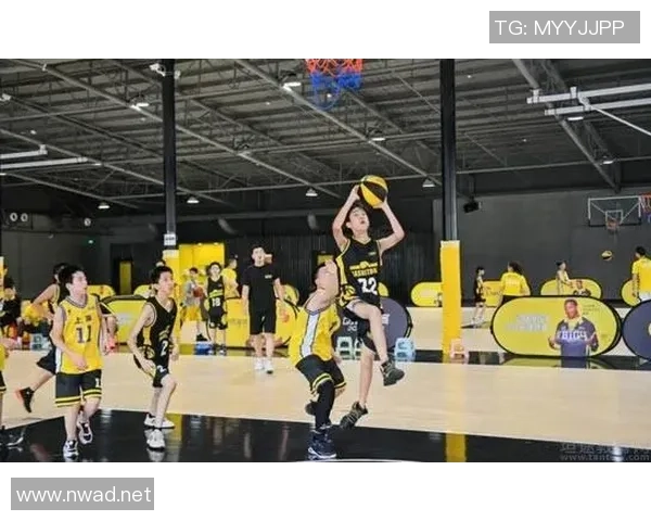 篮球巨献：探秘重庆篮球队的实力