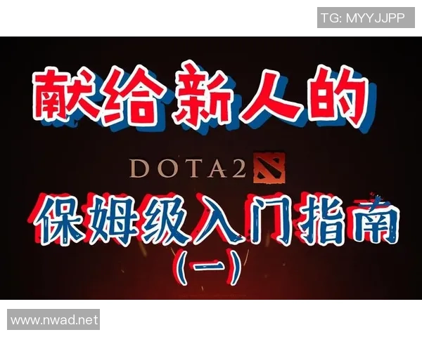 DOTA2新手攻略：战术入门指南