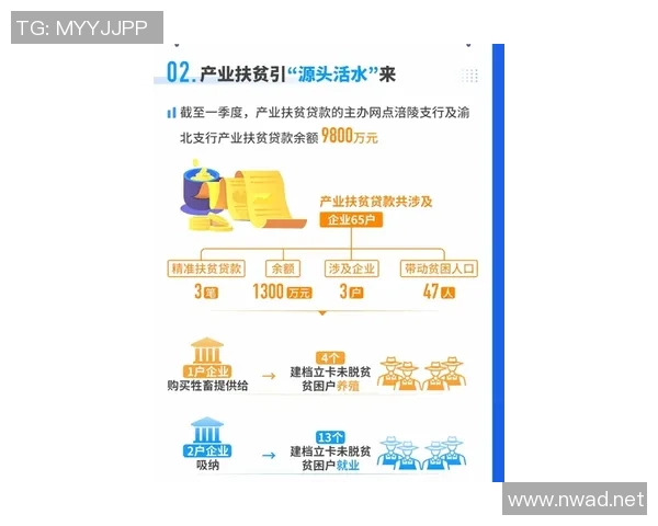 重磅专题：重庆飞盘队的节奏革新