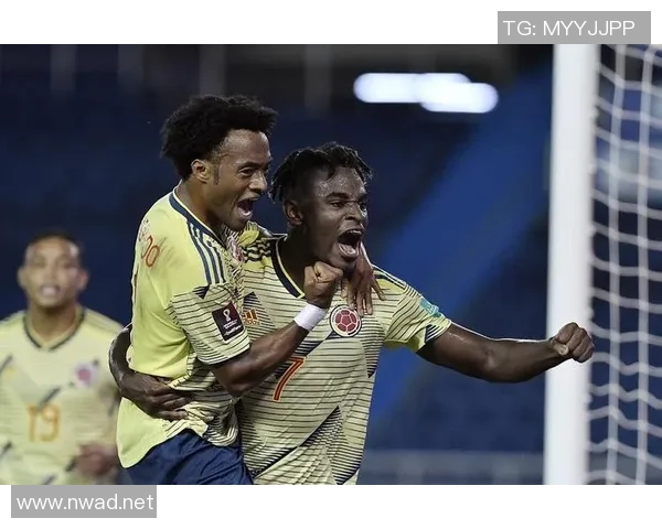 世界杯预选赛点评：西安网球队的实力表现