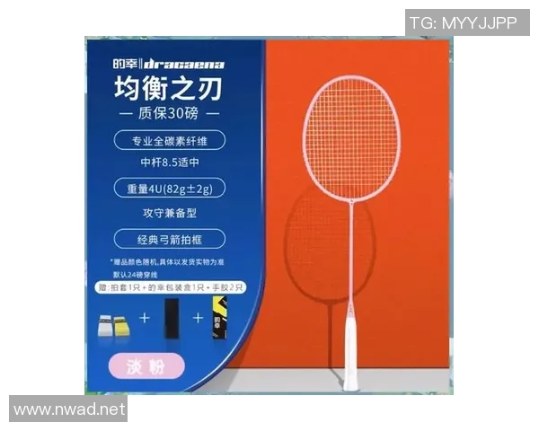 从零开始：羽毛球战术完全攻略