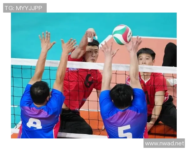 2026排球实力排行榜：上海排球队位居第10名