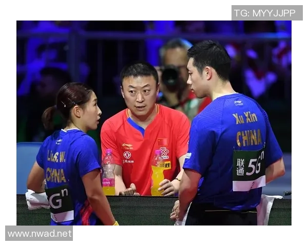 乒乓球巨献：探秘杭州乒乓球队的比赛经验