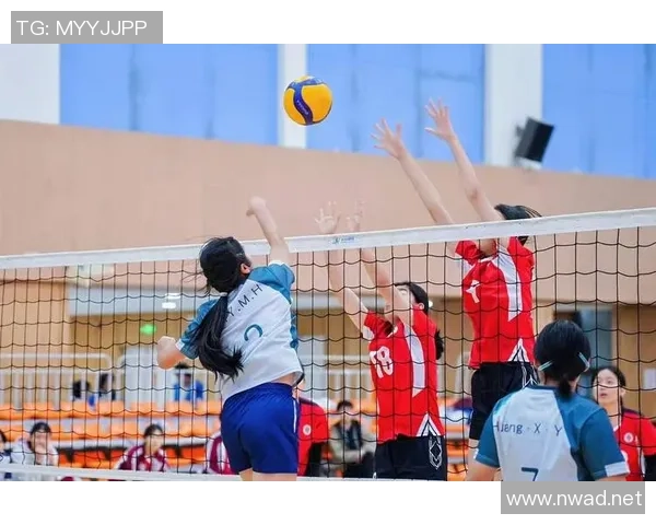 排球巨献：探秘西安排球队的速度