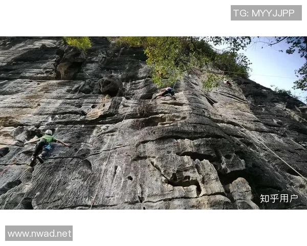 陈磊独家：分享攀岩心得