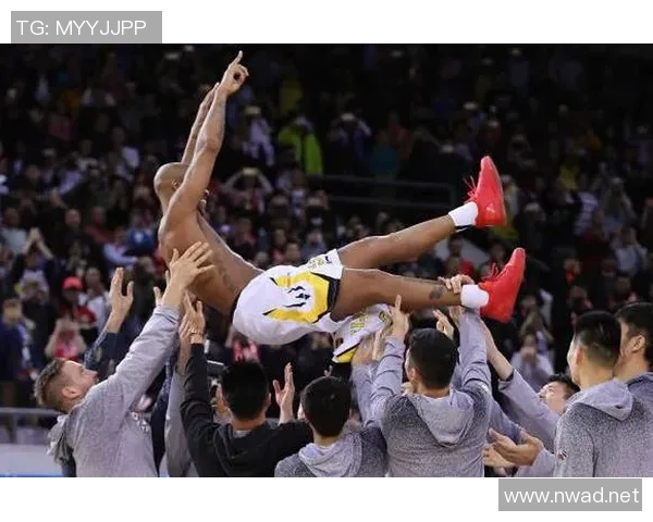 篮球新手攻略：状态入门指南