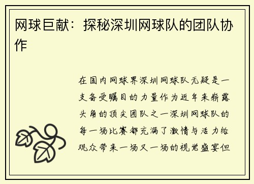 网球巨献：探秘深圳网球队的团队协作