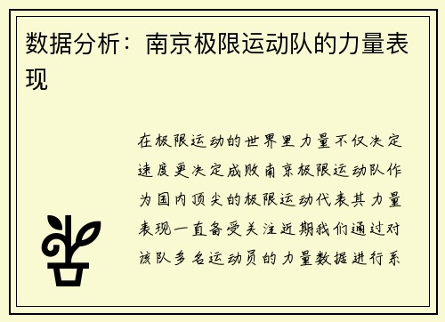 数据分析：南京极限运动队的力量表现