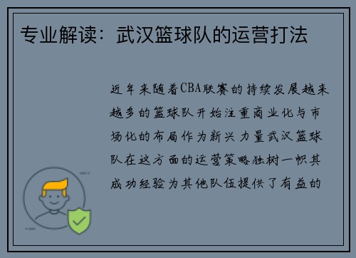 专业解读：武汉篮球队的运营打法